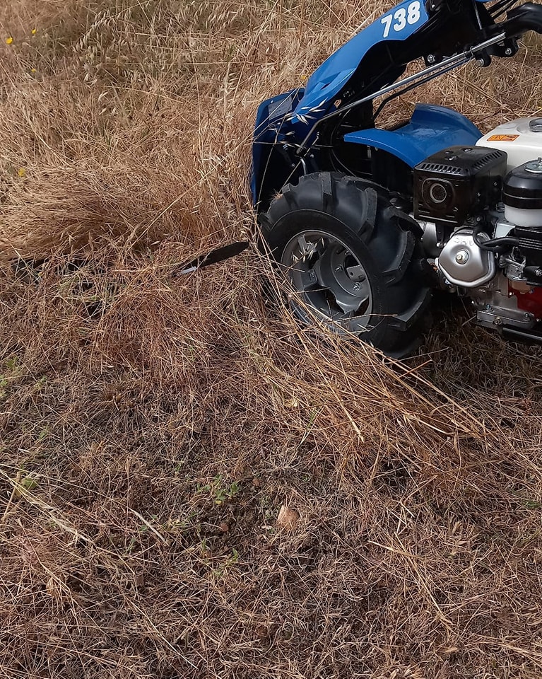 Motocultivador BCS equipado com Frente Gadanheira