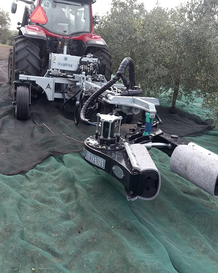 Vibradores Traseiros Aldama