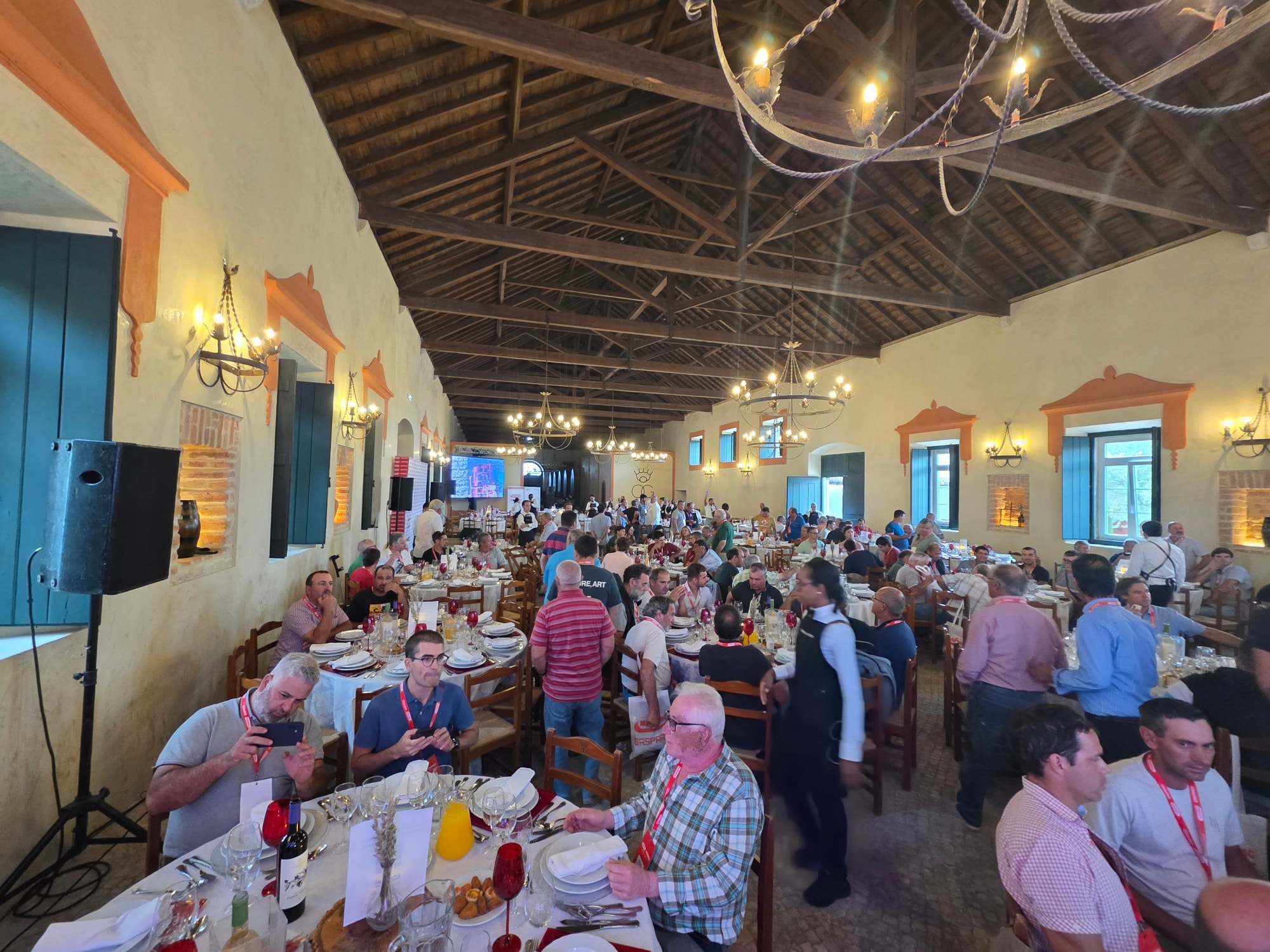 Vibromotor: Dia de Gaspardo